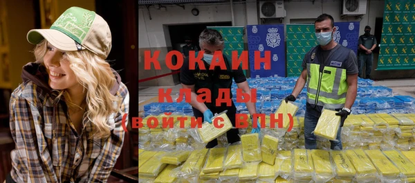 МДПВ Алексин
