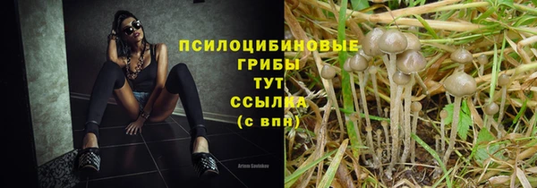 хмурый Алексеевка