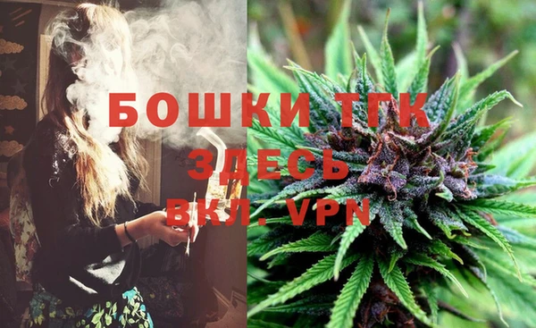 МДПВ Алексин