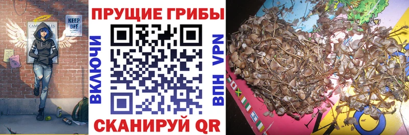 Псилоцибиновые грибы ЛСД  Обнинск 